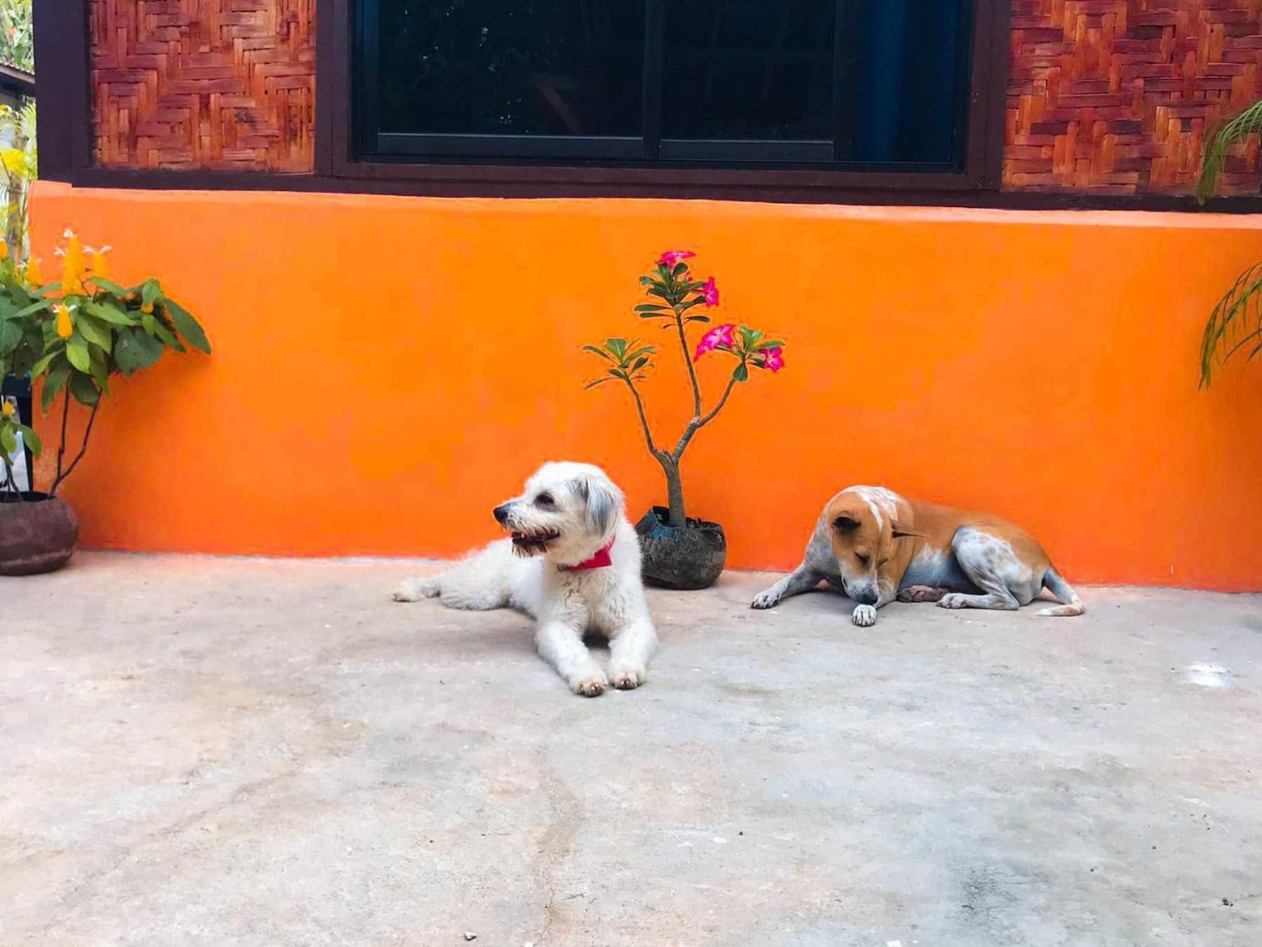 Don Leo'S Bnb Esperanza Exterior foto